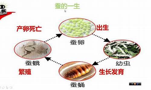 行雷布阵的动物打一生肖叫什么啊_行雷施雨是本职的生肖