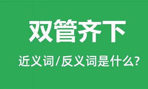 双管齐下下一句成语是什么_双管齐下是什么意思打一生肖