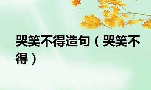 哭笑不得造句二年级简单_哭笑不得造句二年级