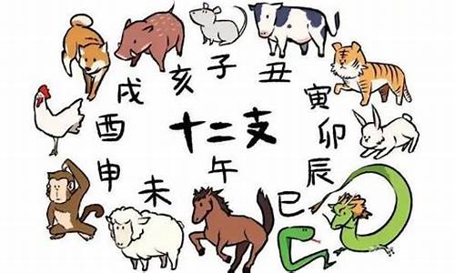 的打一生肖猪叫什么_猪是什么生肖?