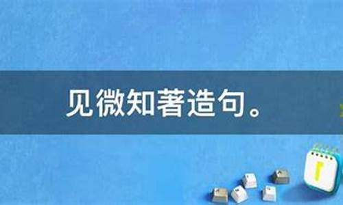 见微知著造句形容成绩好的成语_见微知著造句形容成绩好的成语是什么