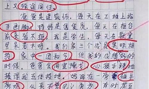 高考作文中四字成语的运用论文_高考作文中四字成语的运用论文怎么写