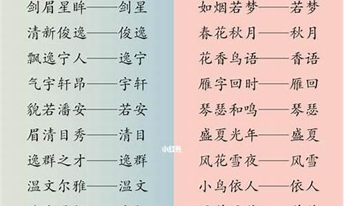 成语龙凤胎取名字大全_成语龙凤胎取名字大全集