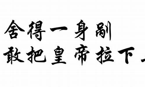 舍得一身剐,敢把皇帝拉下马的成语解释及意思